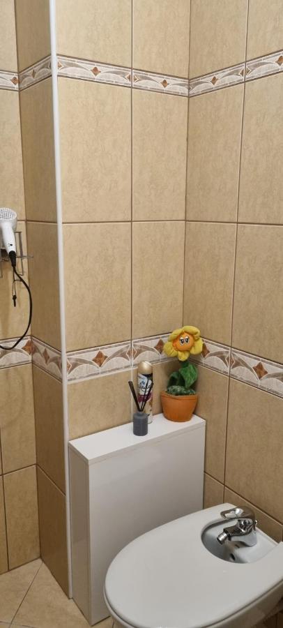 סינאיה Emma Apartament מראה חיצוני תמונה